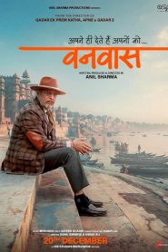 Vanvaas (2024) WEB-DL [Hindi ORG-DD5.1] 1080p 720p & 480p [x264/HEVC] | Full Movie [Exclusive By HDHub4u]